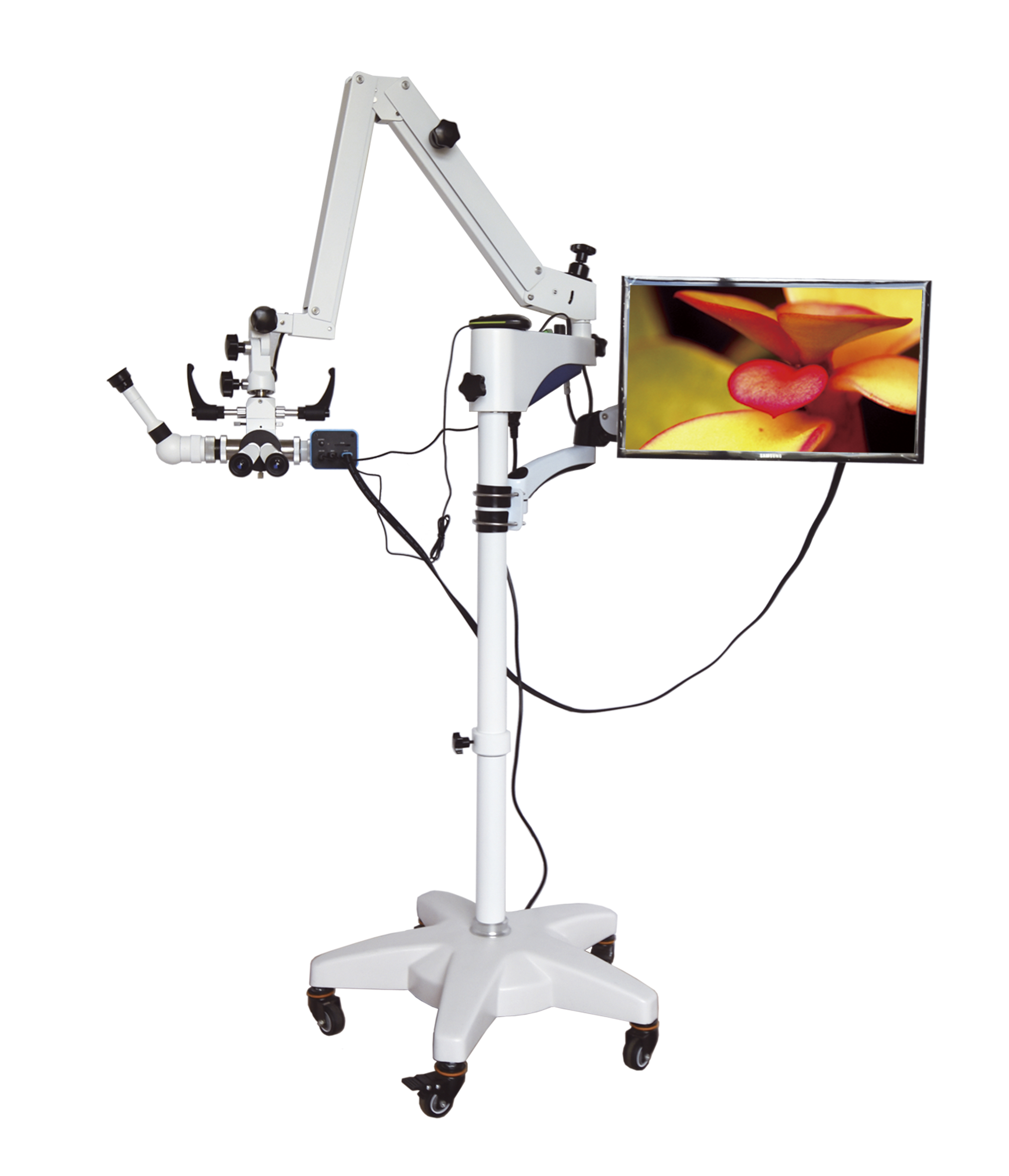 ENT Operating Microscope (FD-A101 Series)