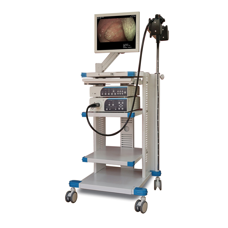 Video Gastroscope(FD-28L)
