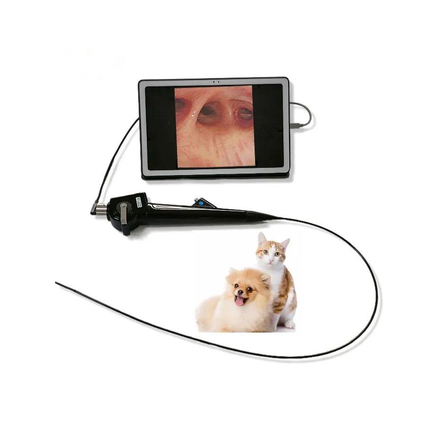 Flexible video veterinary bronchoscope