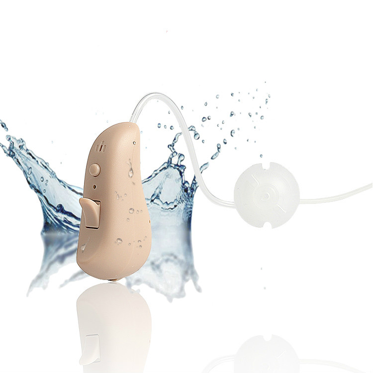 2019 Waterproof Digital Hearing Aid 