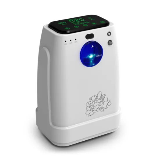 High Purity Portable Oxygen Concentrator Generator 