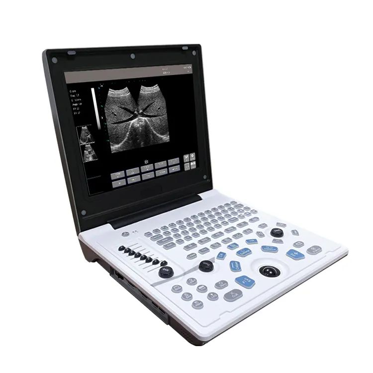 5520 B/W Ultrasound machine Laptop 